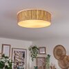 Antillo ceiling light white, 3-light sources