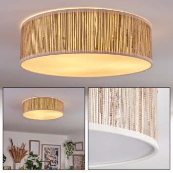 Antillo ceiling light white, 3-light sources