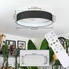 Benesal ceiling light, Ceiling fan light LED white, 1-light source, Remote control