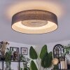 Benesal ceiling light, Ceiling fan light LED white, 1-light source, Remote control