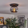 Apedo ceiling light, globe light Smoke-coloured, 1-light source