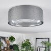 Carel ceiling light, ceiling spotlight LED white, 1-light source