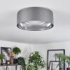 Carel ceiling light, ceiling spotlight LED white, 1-light source