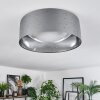 Carel ceiling light, ceiling spotlight LED white, 1-light source