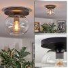 Apedo ceiling light, globe light clear, 1-light source