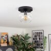 Apedo ceiling light, globe light clear, 1-light source