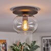 Apedo ceiling light, globe light clear, 1-light source