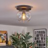 Apedo ceiling light, globe light clear, 1-light source