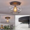 Apedo ceiling light, globe light clear, 1-light source