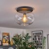 Apedo ceiling light, globe light clear, 1-light source