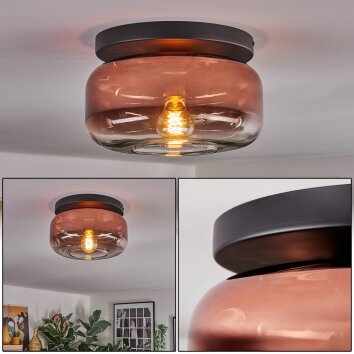 Boza ceiling light, globe light clear, coppery, 1-light source