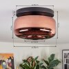 Boza ceiling light, globe light coppery, 1-light source