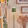 Allen floor lamp LED green, 1-light source