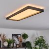 Binor ceiling light LED white, 1-light source