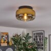 Boza ceiling light, globe light gold, clear, 1-light source