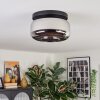 Boza ceiling light, globe light chrome, Smoke-coloured, 1-light source