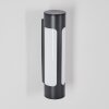 Biran outdoor wall light, wall light LED anthracite, 1-light source