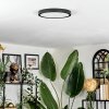 Finsrud ceiling light LED black, 1-light source