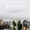 Arzel ceiling light LED white, 1-light source