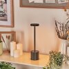 Parel desk lamp, table lamp LED black, 1-light source