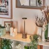 Parel desk lamp, table lamp LED matt nickel, 1-light source