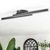 Arlan ceiling light LED black, 2-light sources