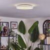 Borel ceiling light LED white, 1-light source