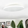 Borel ceiling light LED white, 1-light source