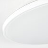 Borel ceiling light LED white, 1-light source