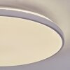 Borel ceiling light LED white, 1-light source