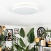 Borel ceiling light LED white, 1-light source