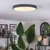 Filor ceiling light LED black, 1-light source