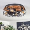 Tourais ceiling light, Ceiling fan light LED Wood like finish, black, 4-light sources, Remote control