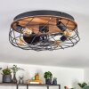 Tourais ceiling light, Ceiling fan light LED Wood like finish, black, 4-light sources, Remote control