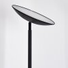 Dillingby floor lamp LED black, 1-light source