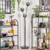 Gastor globe light, floor lamp chrome, Smoke-coloured, 3-light sources