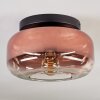 Boza ceiling light, globe light clear, coppery, 1-light source