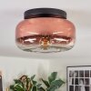 Boza ceiling light, globe light clear, coppery, 1-light source