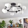 Chehalis ceiling light, globe light 76 cm white, 12-light sources