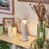 Eryla desk lamp, table lamp LED white, 1-light source