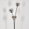 Gastor globe light, floor lamp chrome, clear, Smoke-coloured, 3-light sources