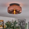 Boza ceiling light, globe light coppery, 1-light source