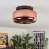 Boza ceiling light, globe light coppery, 1-light source