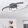 GUINEA Ceiling Light LED anthracite, 2-light sources