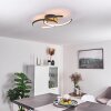 GUINEA Ceiling Light LED anthracite, 2-light sources