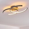 GUINEA Ceiling Light LED anthracite, 2-light sources