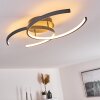 GUINEA Ceiling Light LED anthracite, 2-light sources