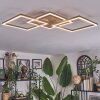 Brina ceiling light LED brown, gold, 1-light source