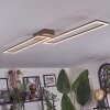 Brina ceiling light LED brown, gold, 1-light source, Remote control