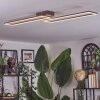 Brina ceiling light LED brown, gold, 1-light source, Remote control